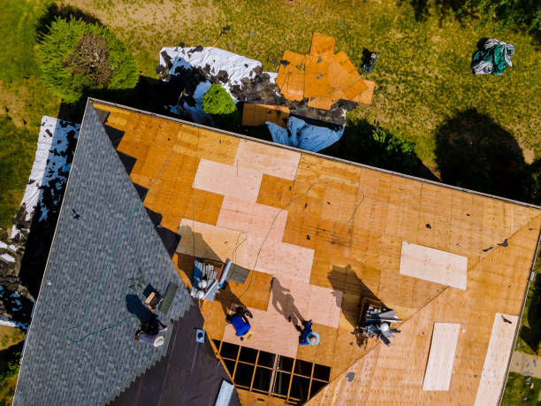 Quick and Trustworthy Emergency Roof Repair Services in Muhlenberg Park, PA